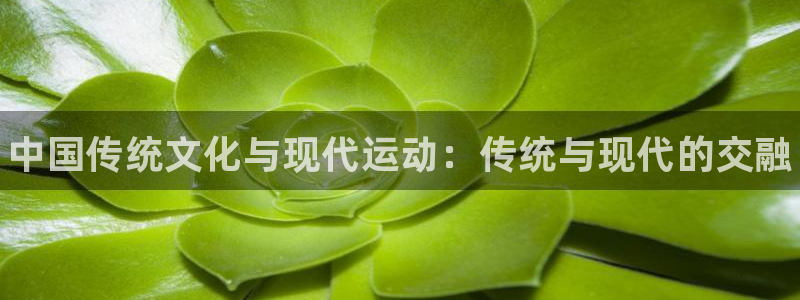 J9官网下载平台注册：中国传统文化与现代运动：传统与