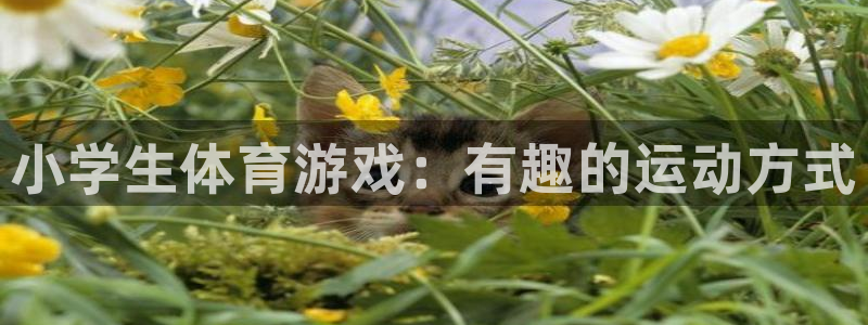 J9官方正版app娱乐下载：小学生体育游戏：有趣的运