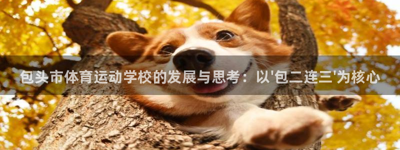 J9官网下载招商电话号码查询是多少：包头市体育运动学