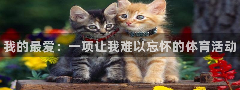 J9官网下载招商电话号码查询：我的最爱：一项让我难以