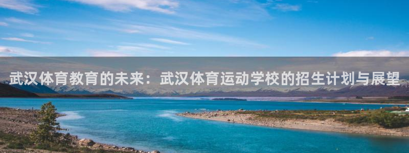 J9官网下载平台假的吗是真的吗吗：武汉体育教育的未来