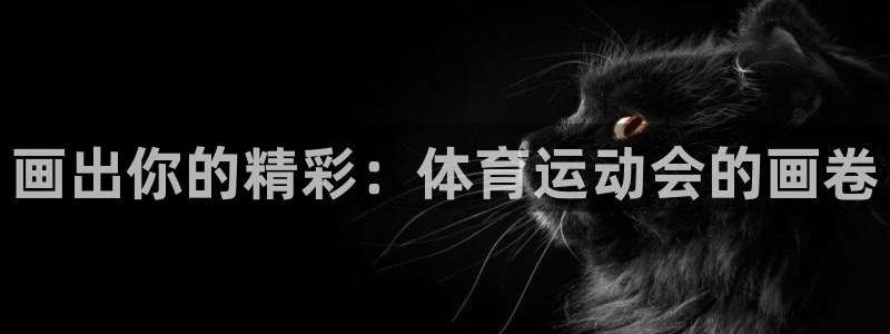 J9官方正版app娱乐首页网站大全：画出你的精彩：体