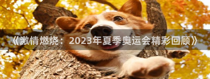 J9官方平台体育：《激情燃烧：2023年夏季奥运会精