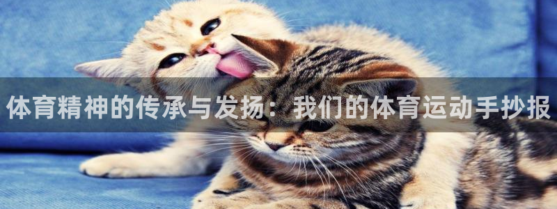 注册J9官方正版app：体育精神的传承与发扬：我们的