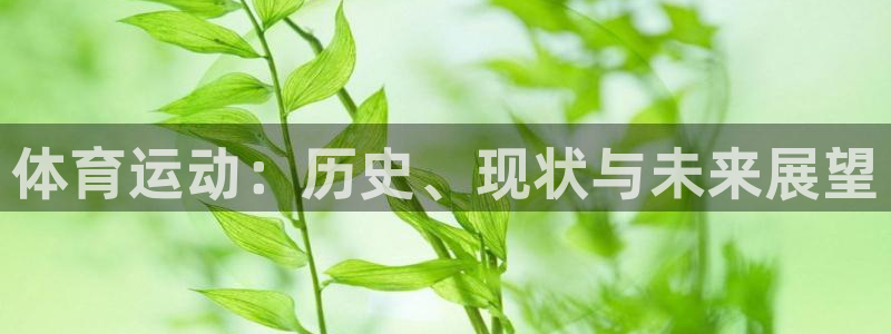 J9官方正版app娱乐