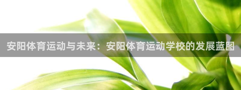 J9官方正版app科技：安阳体育运动与未来：安阳体育