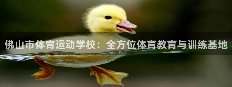 J9官方集团官网：佛山市体育运动学校：全方位体育教育