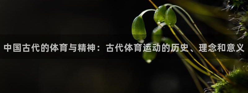 J9官网下载招商电话号码查询：中国古代的体育与精神：古代体育