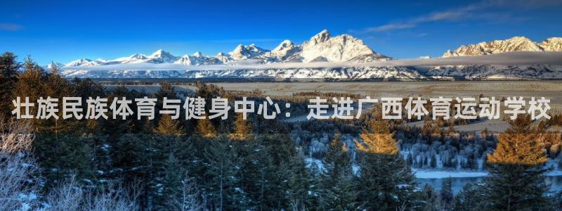 J9官方正版app官方：壮族民族体育与健身中心：走进广西体育
