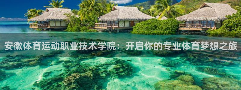 J9官方正版app代理：安徽体育运动职业技术学院：开启你的专