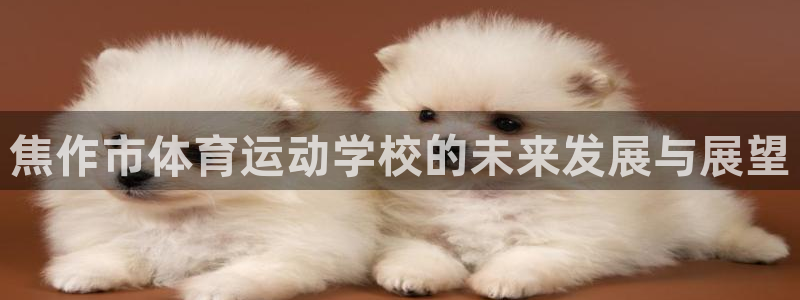 J9官网下载注册：焦作市体育运动学校的未来发展与展望