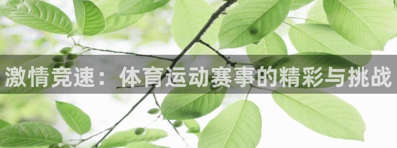 J9官方正版app集团官网首页：激情竞速：体育运动赛事的精彩