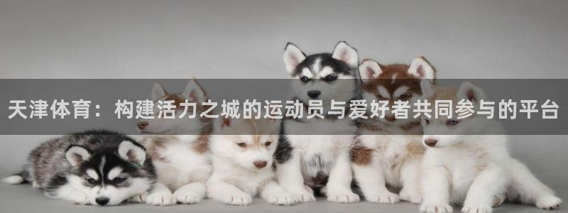 J9官网下载平台注册流程视频：天津体育：构建活力之城的运动员