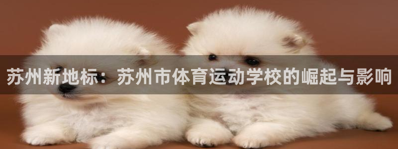 J9官网下载平台注册流程图：苏州新地标：苏州市体育运