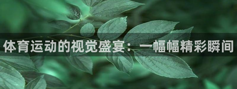 J9官网下载平台APP：体育运动的视觉盛宴：一幅幅精彩瞬间
