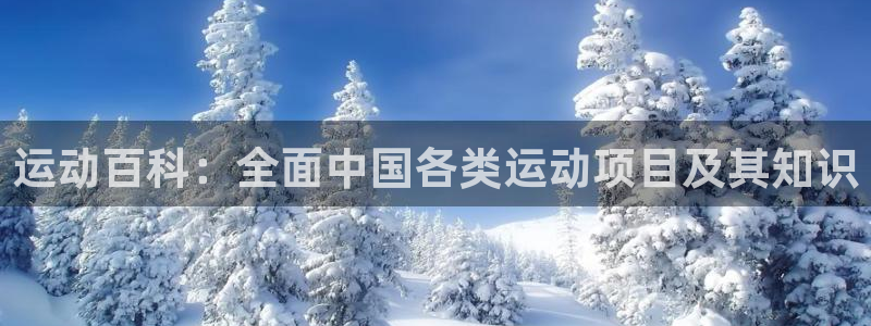 J9官网下载平台APP