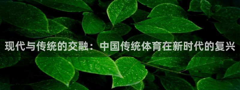 注册J9官方正版app：现代与传统的交融：中国传统体育在新时