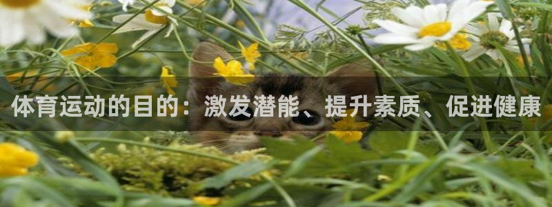 J9官网下载平台是正规平台吗：体育运动的目的：激发潜