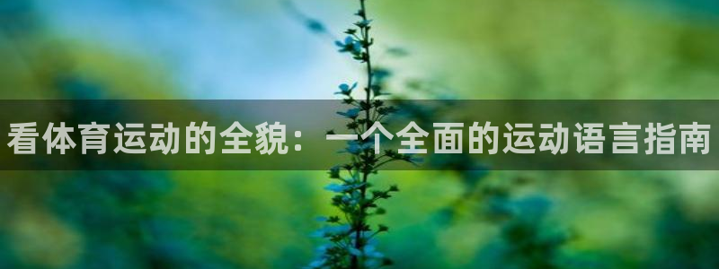 J9官方正版app娱乐