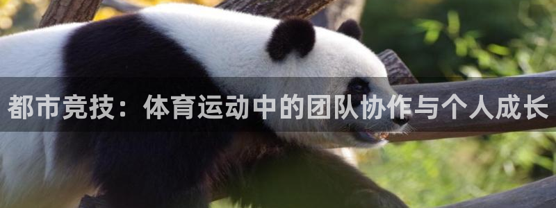 J9官网下载招商电话号码是多少：都市竞技：体育运动中的团队协