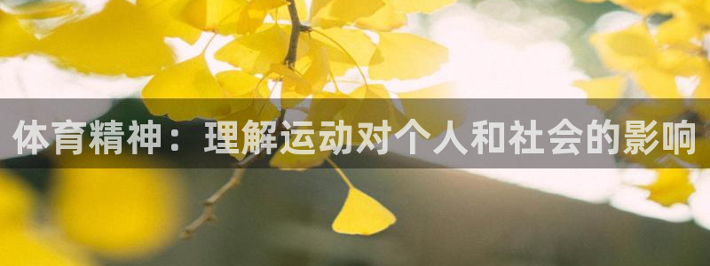 J9官网下载平台是正规平台吗安全吗：体育精神：理解运