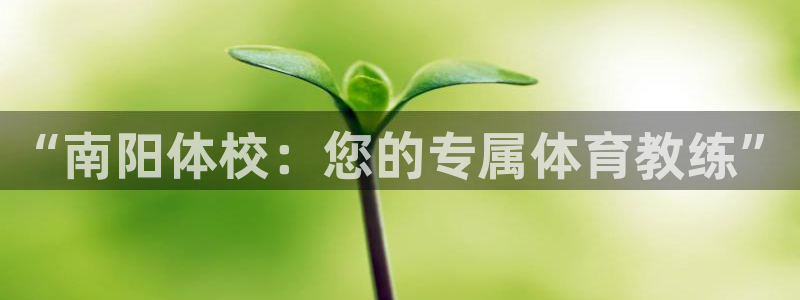 J9官网下载：“南阳体校：您的专属体育教练”