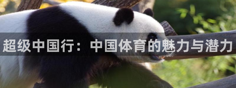 J9官网下载招商电话号码查询：超级中国行：中国体育的魅力与潜