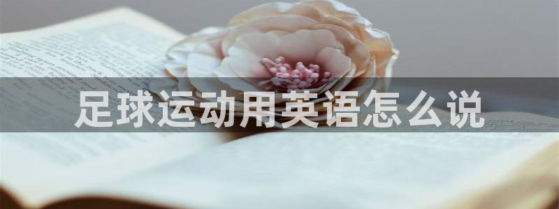 海南J9官网下载发展怎么样